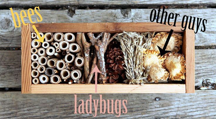 Costruire un Bug Hotel, rifugio naturale per insetti