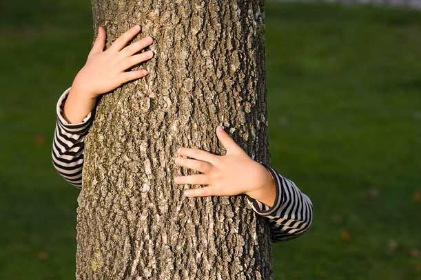 10 ragioni per piantare un albero con i bambini... o adottarlo! 