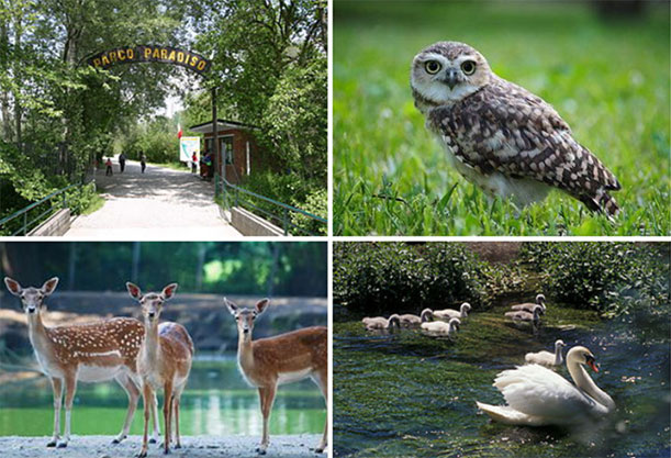 Risultato immagini per PARCO ITTICO PARADISO