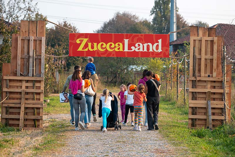 zuccaland
